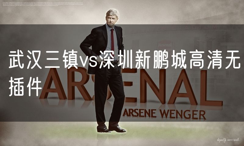 武汉三镇vs深圳新鹏城高清无插件