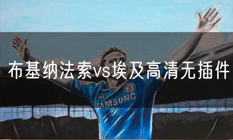 布基纳法索vs埃及高清无插件