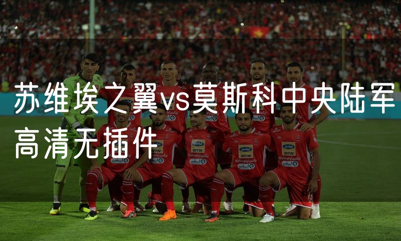 苏维埃之翼vs莫斯科中央陆军高清无插件