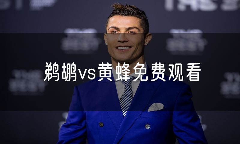 鹈鹕vs黄蜂免费观看