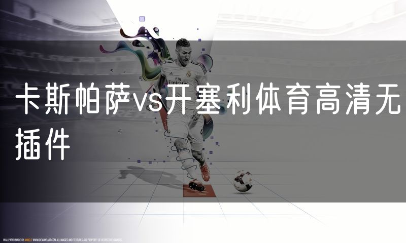 卡斯帕萨vs开塞利体育高清无插件 卡斯帕萨vs开塞利体育高清无插件