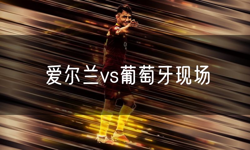 爱尔兰vs葡萄牙现场