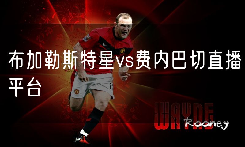 布加勒斯特星vs费内巴切直播平台