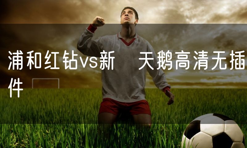 浦和红钻vs新潟天鹅高清无插件