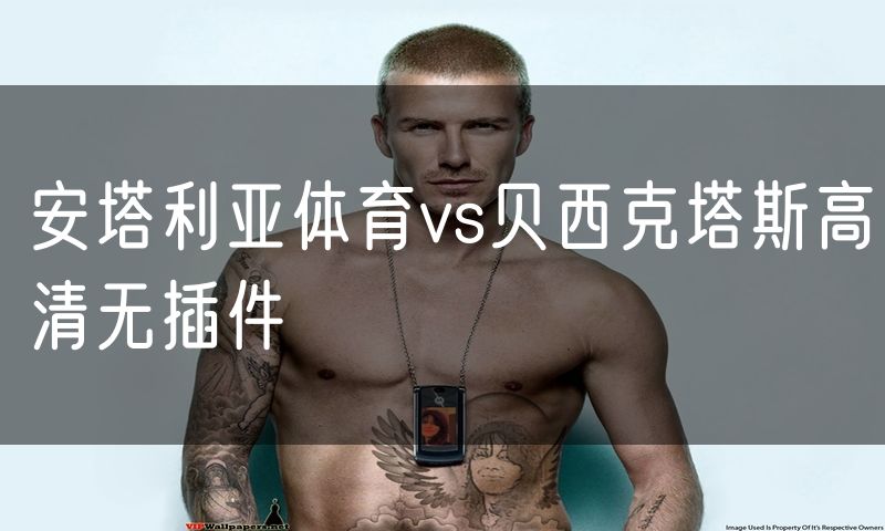 安塔利亚体育vs贝西克塔斯高清无插件