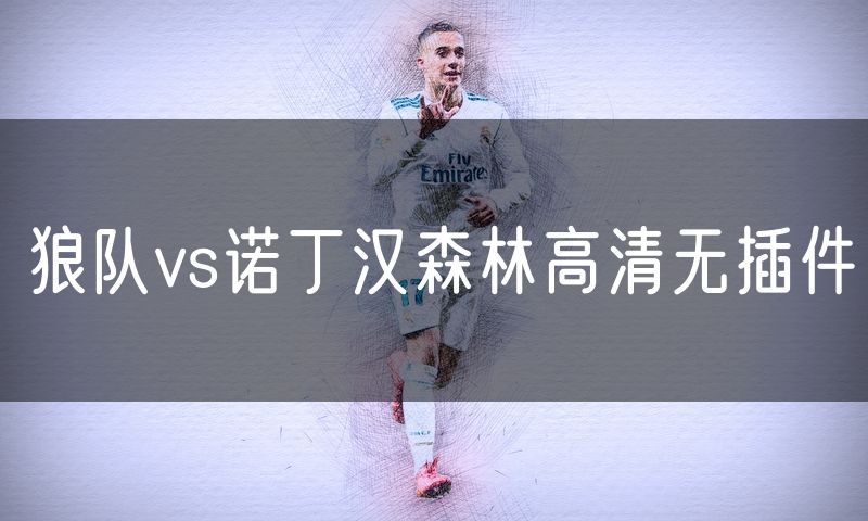 狼队vs诺丁汉森林高清无插件