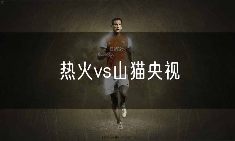 热火vs山猫央视