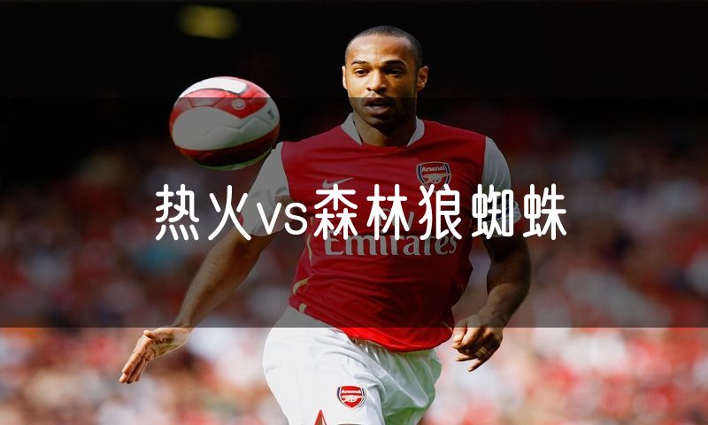 热火vs森林狼蜘蛛