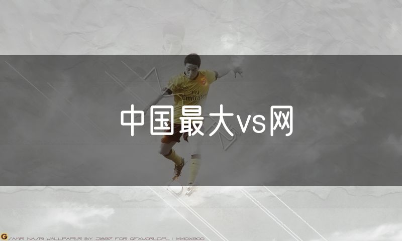 中国最大vs网