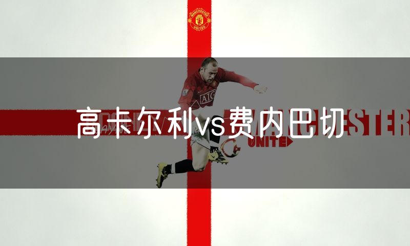 高卡尔利vs费内巴切