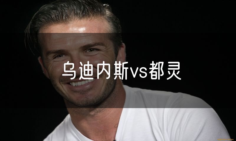 乌迪内斯vs都灵
