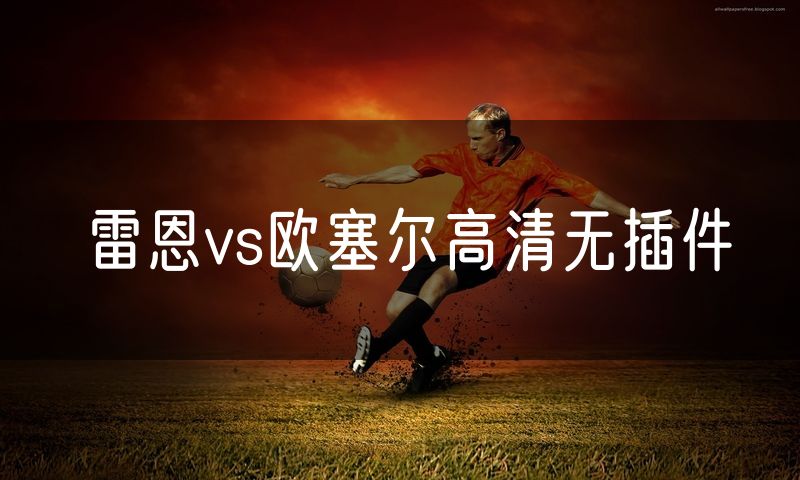 雷恩vs欧塞尔高清无插件