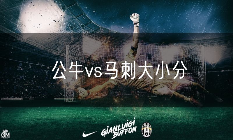 公牛vs马刺大小分