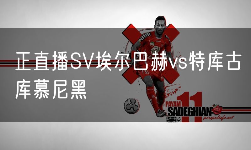 正直播SV埃尔巴赫vs特库古库慕尼黑