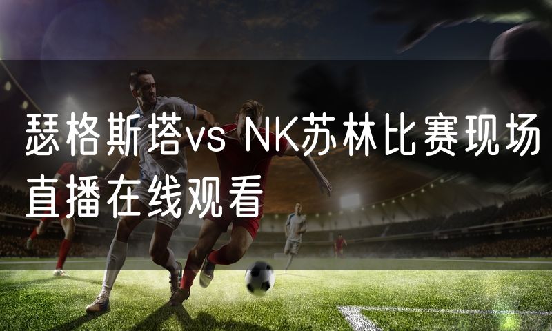 瑟格斯塔vs NK苏林比赛现场直播在线观看