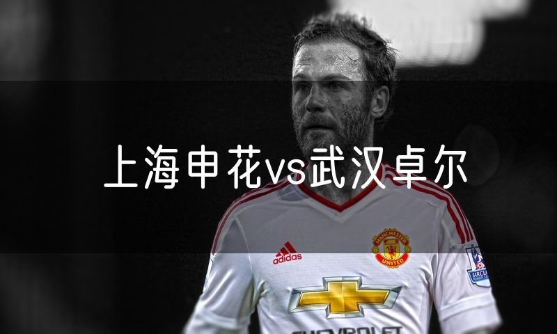上海申花vs武汉卓尔