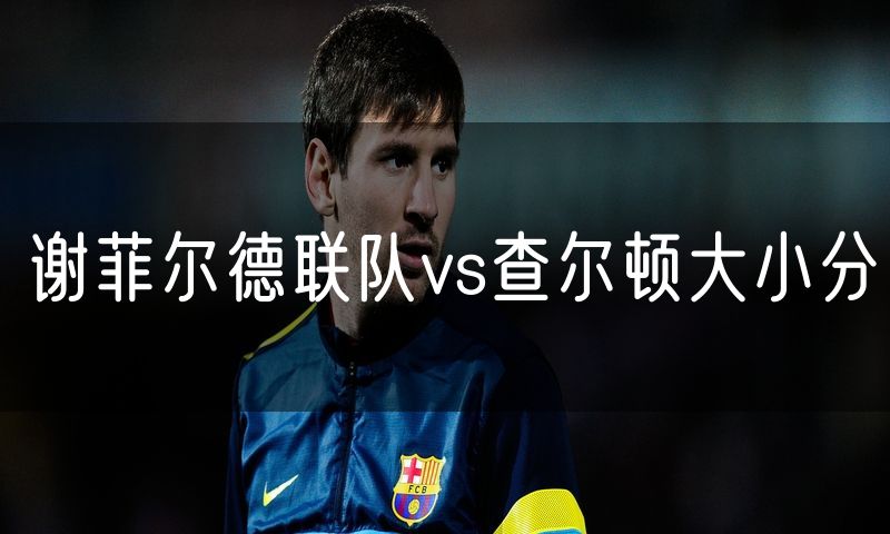 谢菲尔德联队vs查尔顿大小分