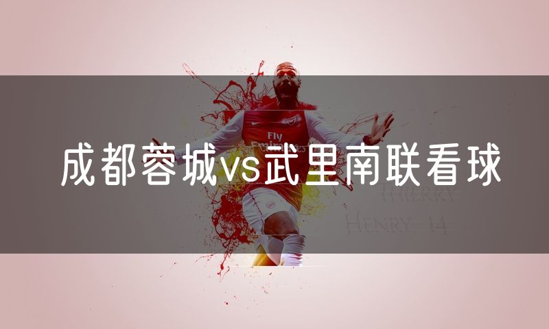 成都蓉城vs武里南联看球