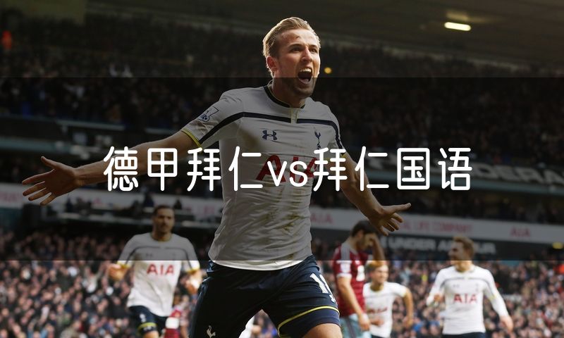 德甲拜仁vs拜仁国语
