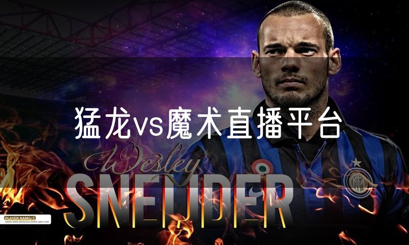 猛龙vs魔术直播平台