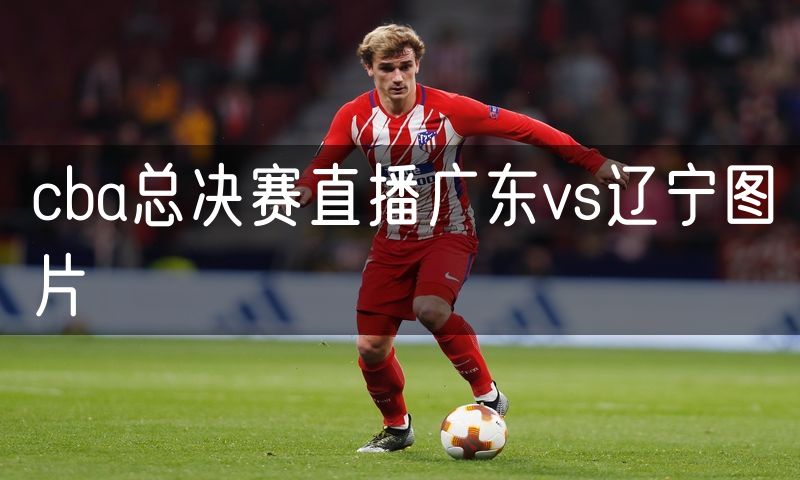cba总决赛直播广东vs辽宁图片