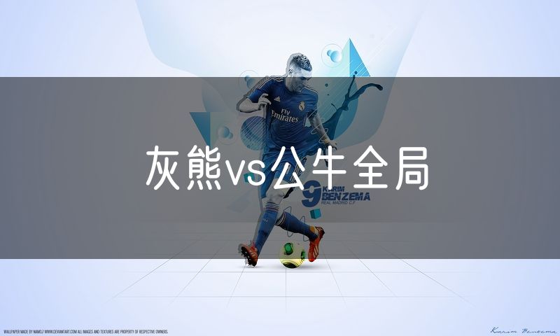 灰熊vs公牛全局