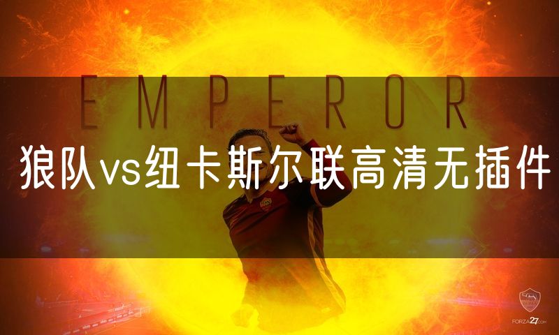 狼队vs纽卡斯尔联高清无插件