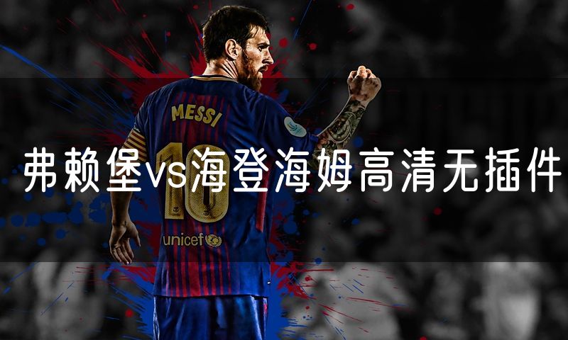 弗赖堡vs海登海姆高清无插件