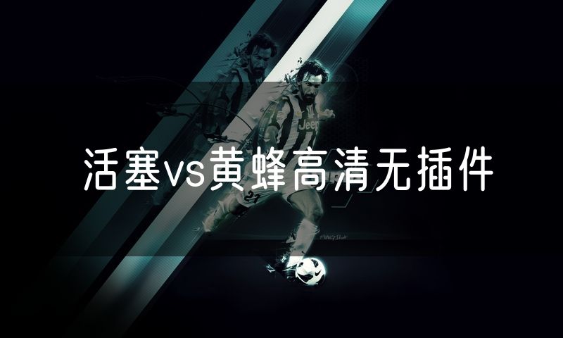 活塞vs黄蜂高清无插件
