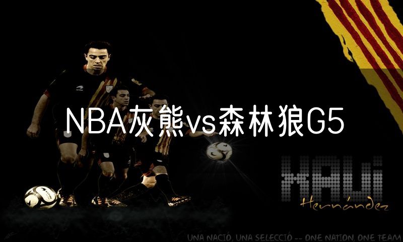 NBA灰熊vs森林狼G5 NBA灰熊vs森林狼G5