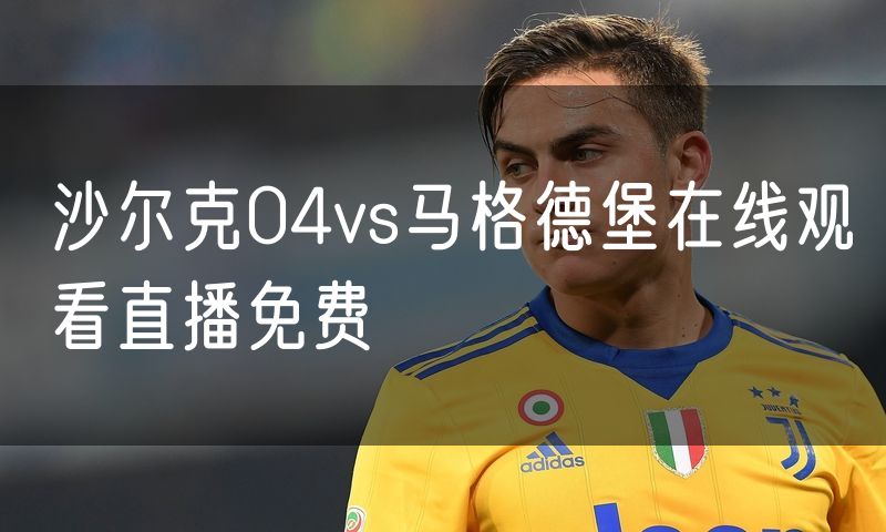 沙尔克04vs马格德堡在线观看直播免费 沙尔克04vs马格德堡在线观看直播免费