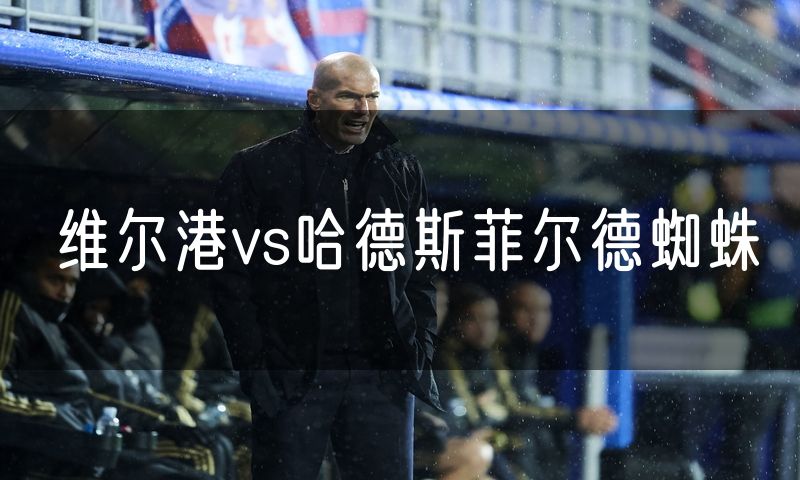 维尔港vs哈德斯菲尔德蜘蛛
