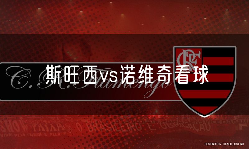 斯旺西vs诺维奇看球