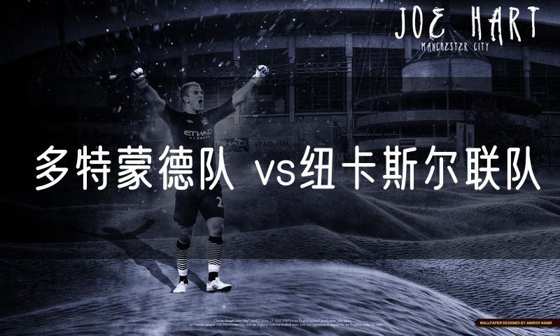 多特蒙德队 vs纽卡斯尔联队