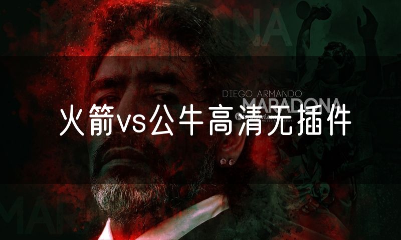 火箭vs公牛高清无插件