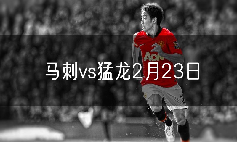 马刺vs猛龙2月23日