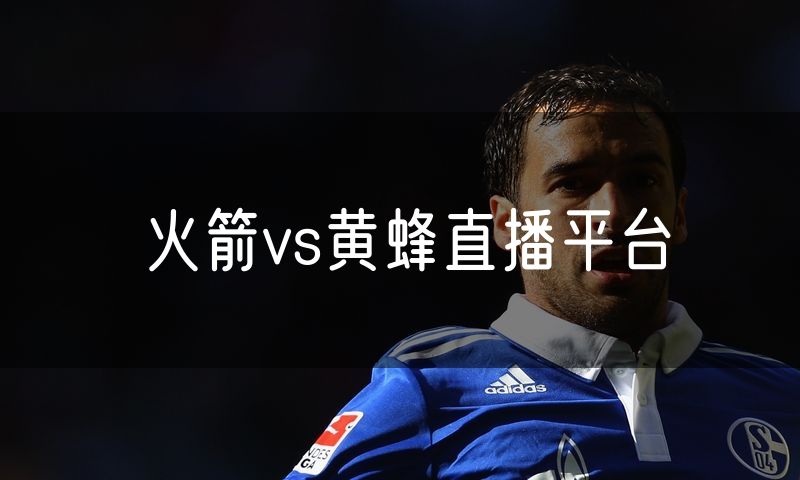 火箭vs黄蜂直播平台