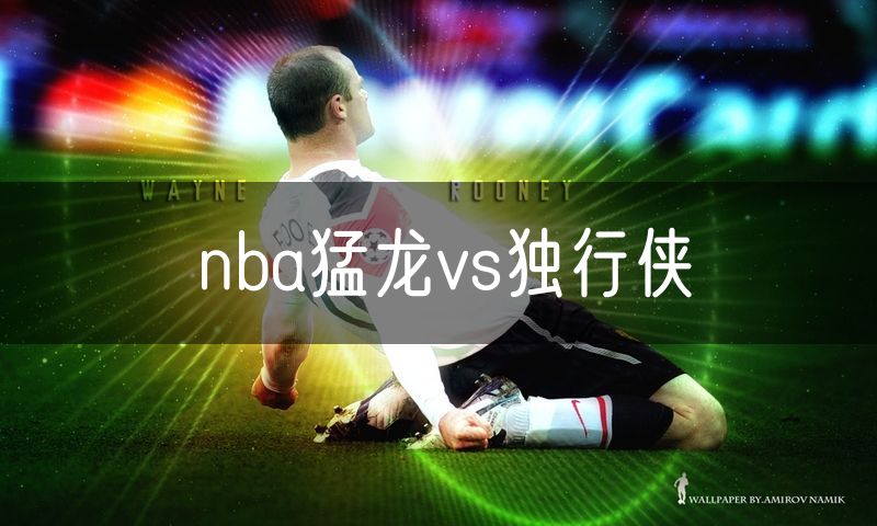 nba猛龙vs独行侠