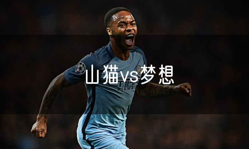 山猫vs梦想