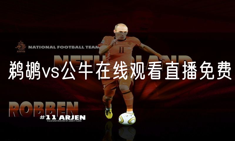 鹈鹕vs公牛在线观看直播免费