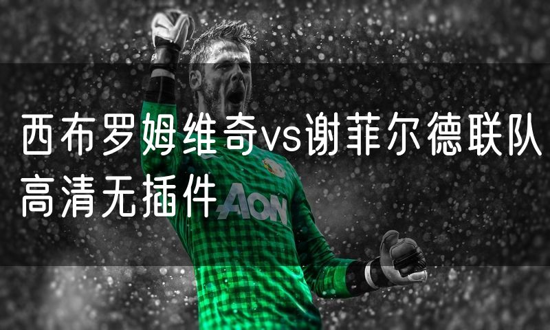 西布罗姆维奇vs谢菲尔德联队高清无插件