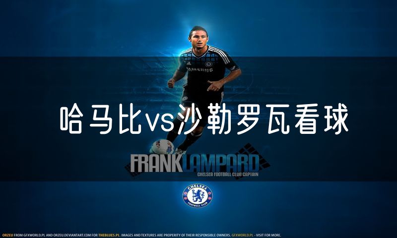 哈马比vs沙勒罗瓦看球